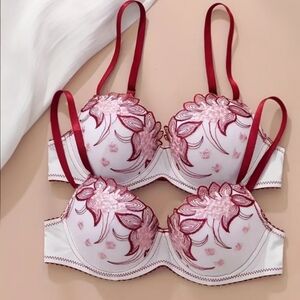 Set of Two Comfortable And Elegant Bras with a Sweet Embroidered Design.